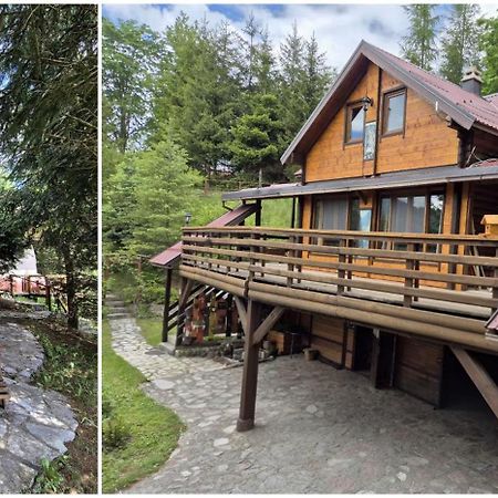 Art Apartments Minic Kolasin Exterior photo