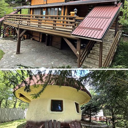 Art Apartments Minic Kolasin Exterior photo