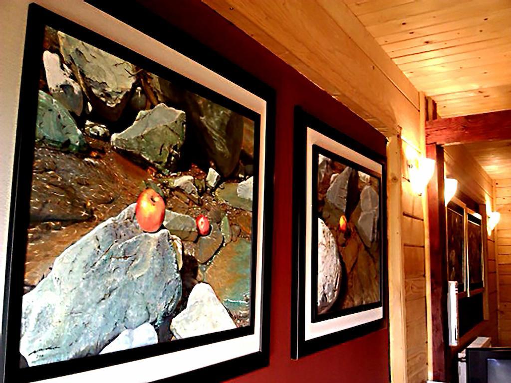 Art Apartments Minic Kolasin Exterior photo