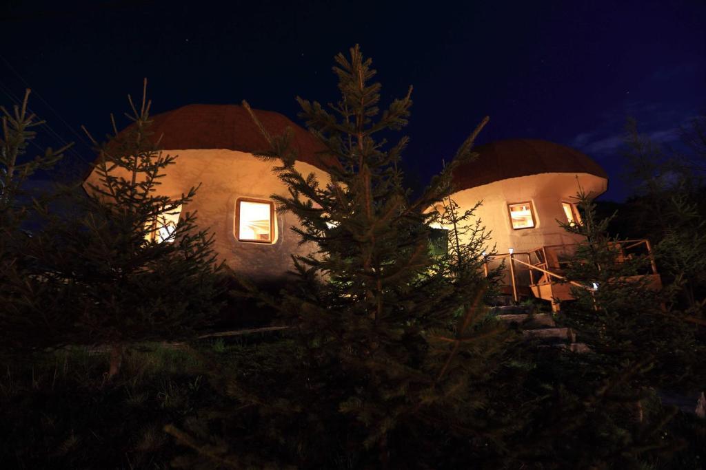 Art Apartments Minic Kolasin Room photo